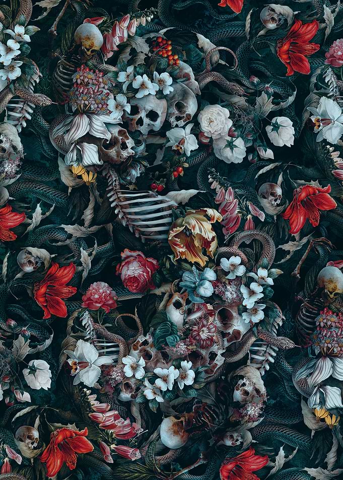 Skull and Snakes VIII