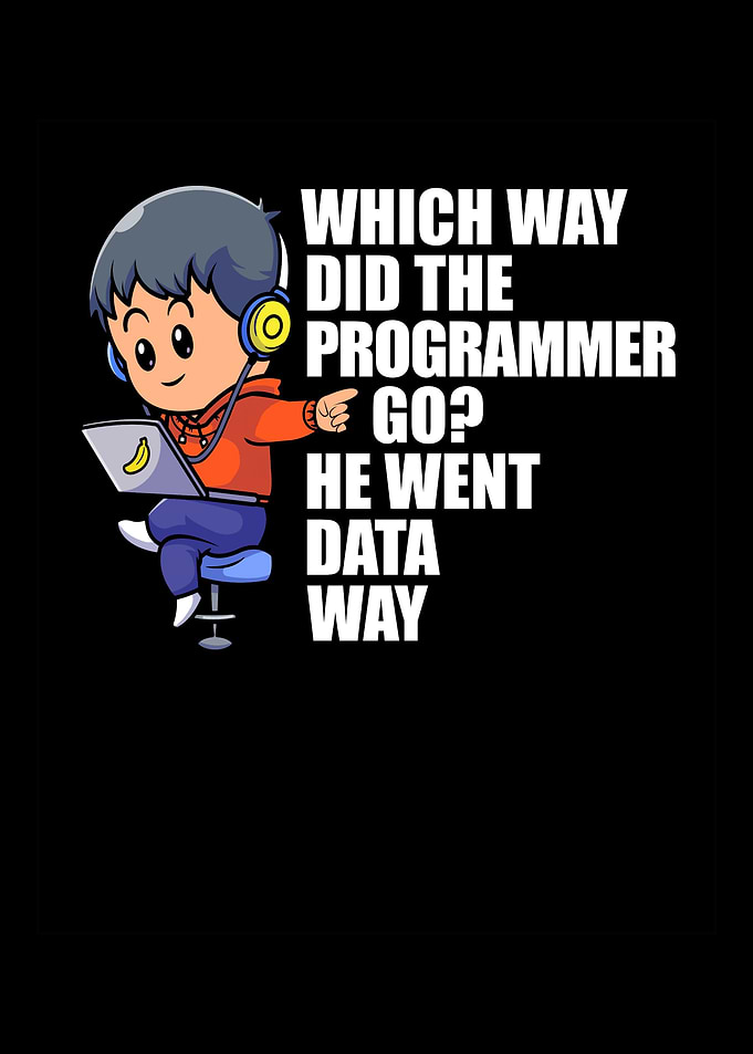 Programmer Software