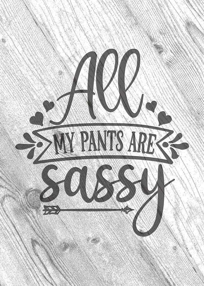 All my pants are sassy