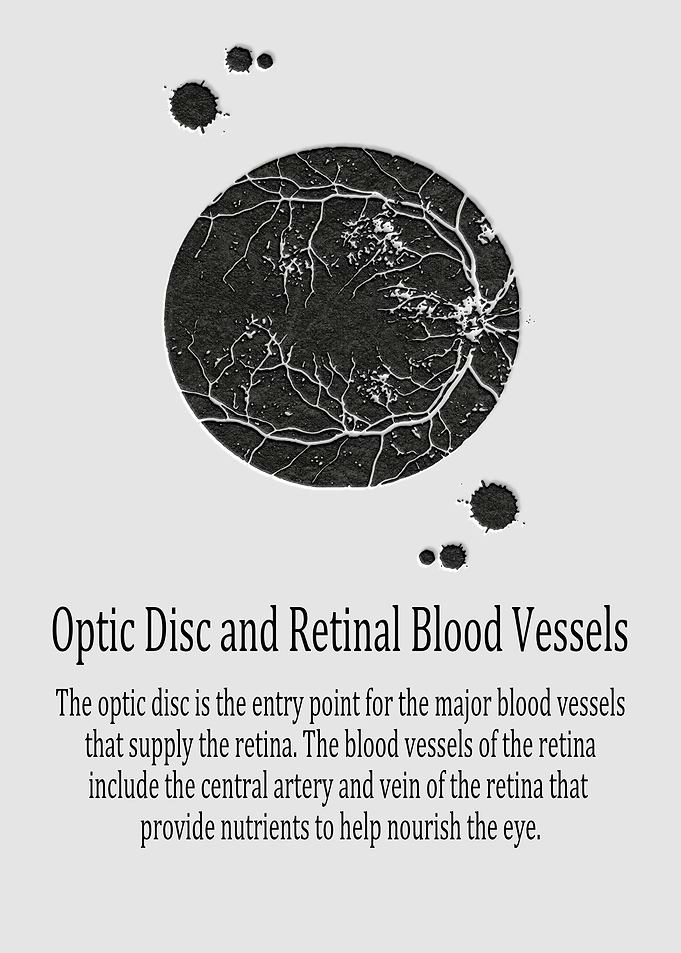 Optic Disc Retinal Blood