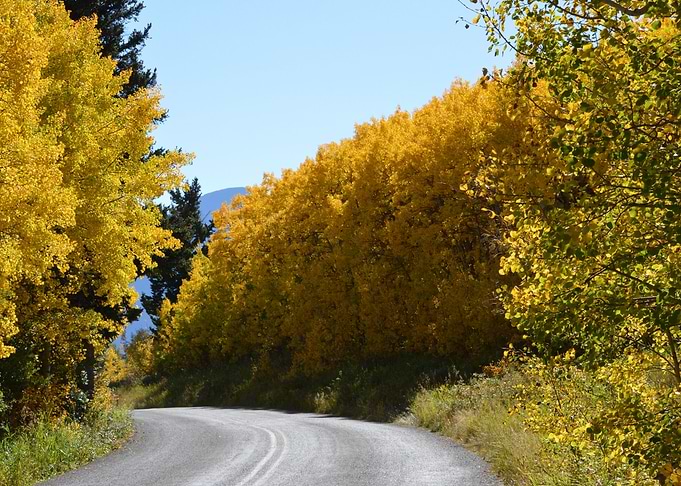 The fall Road