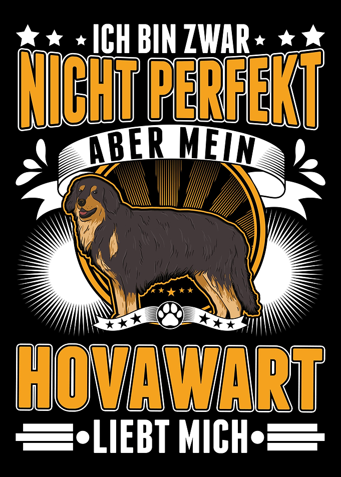 Hovawart Hund