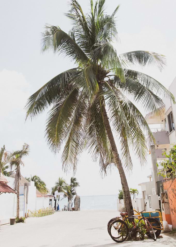 Caribbean Street Vibes 1