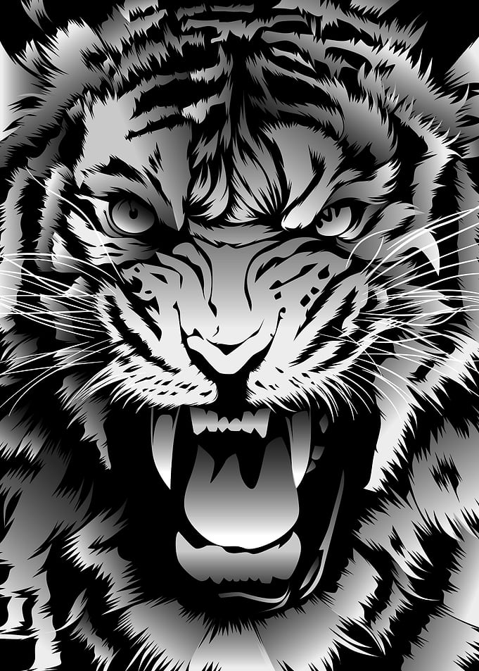 Minimalist Wild Tiger