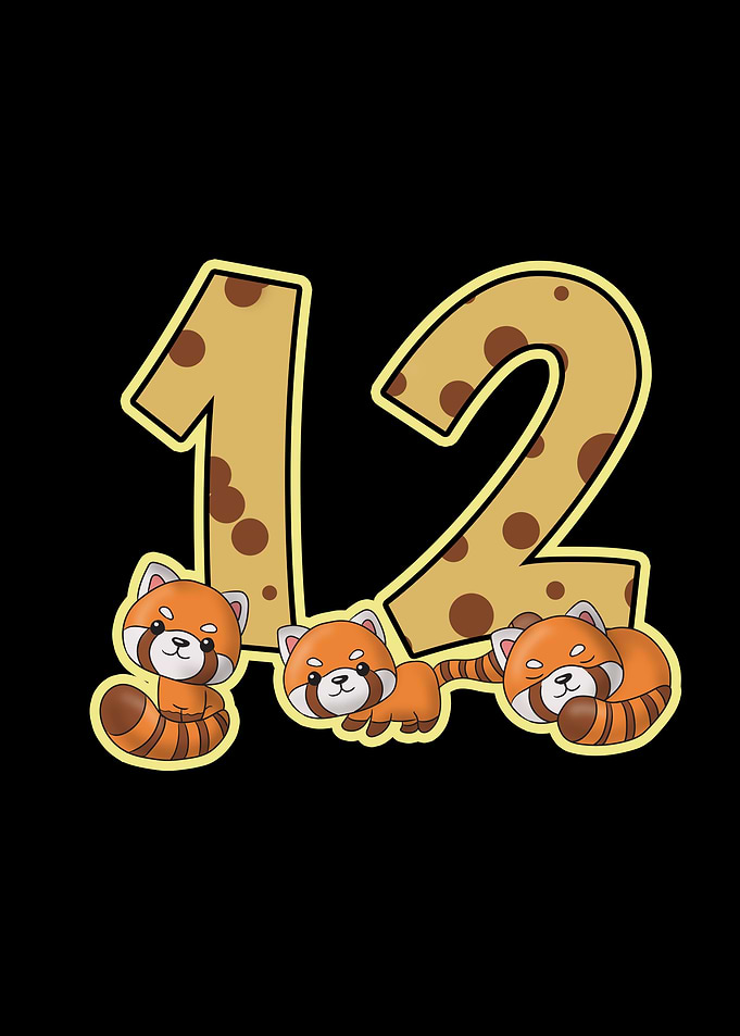 12 Birthday Red Panda