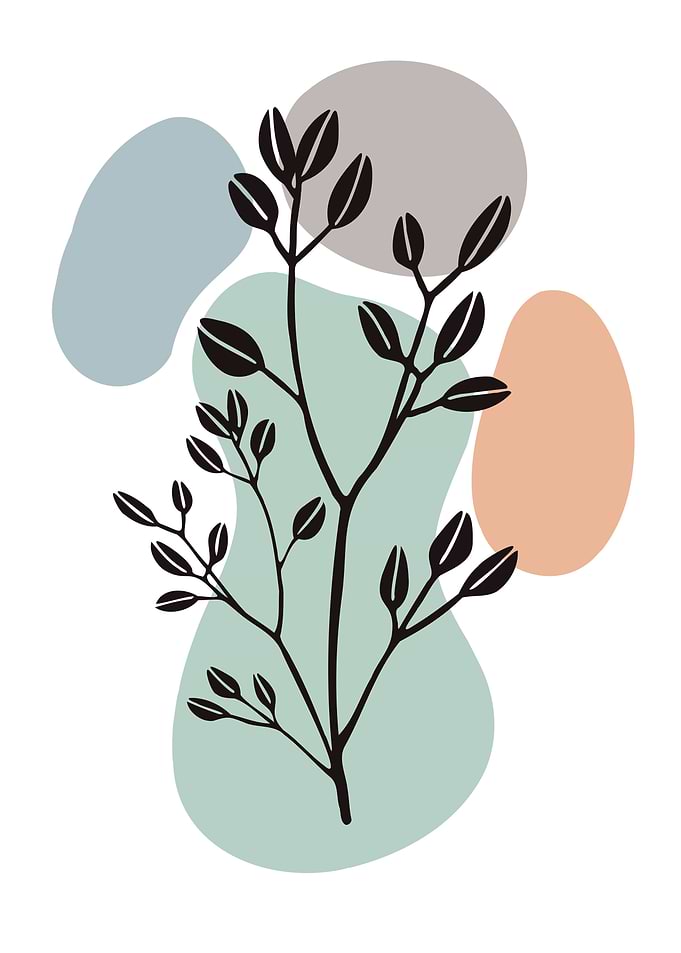 Botanical plant leafbranch