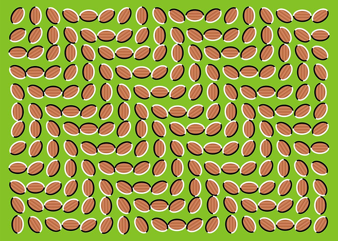 AMAZING ILLUSION 2