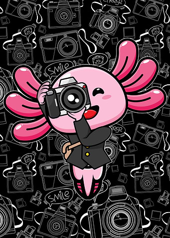 Cute Axolotl Photographer