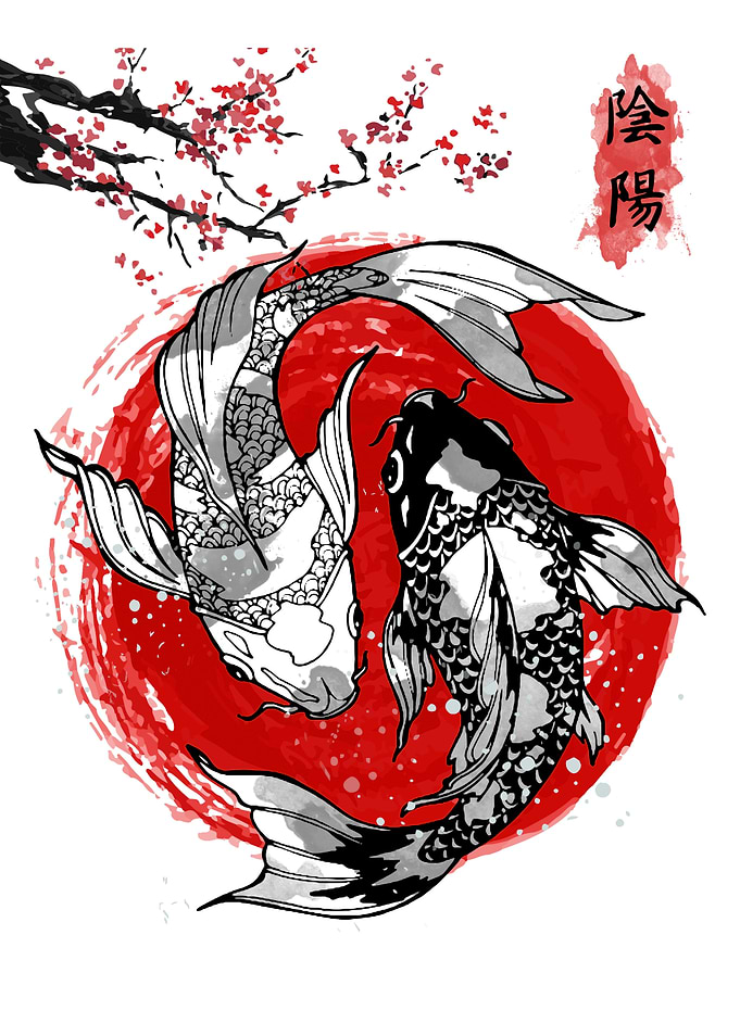 Japanese Koi Fish