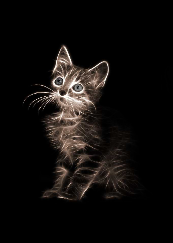 Cute Cat Neon