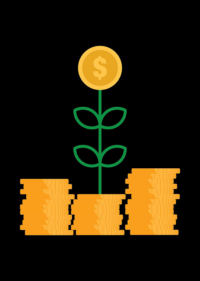 Mony Flower