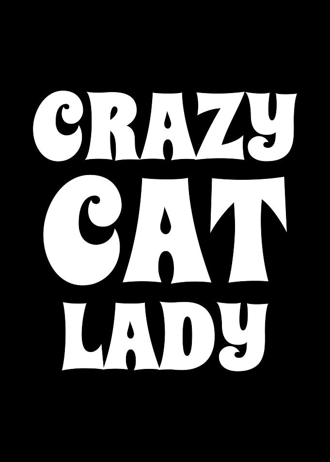 Cat Lady Cat Owner