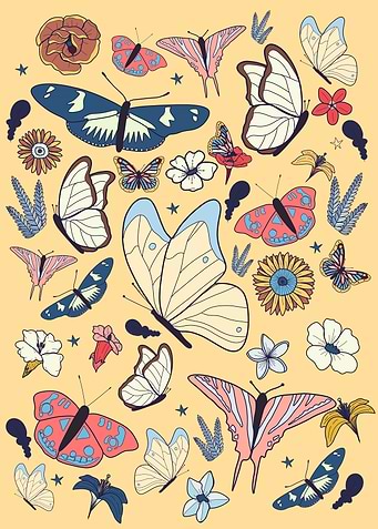 The butterflies fly