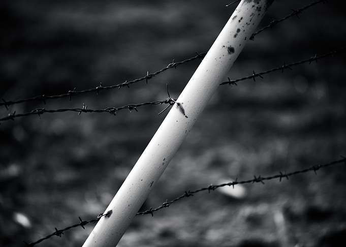 Fence