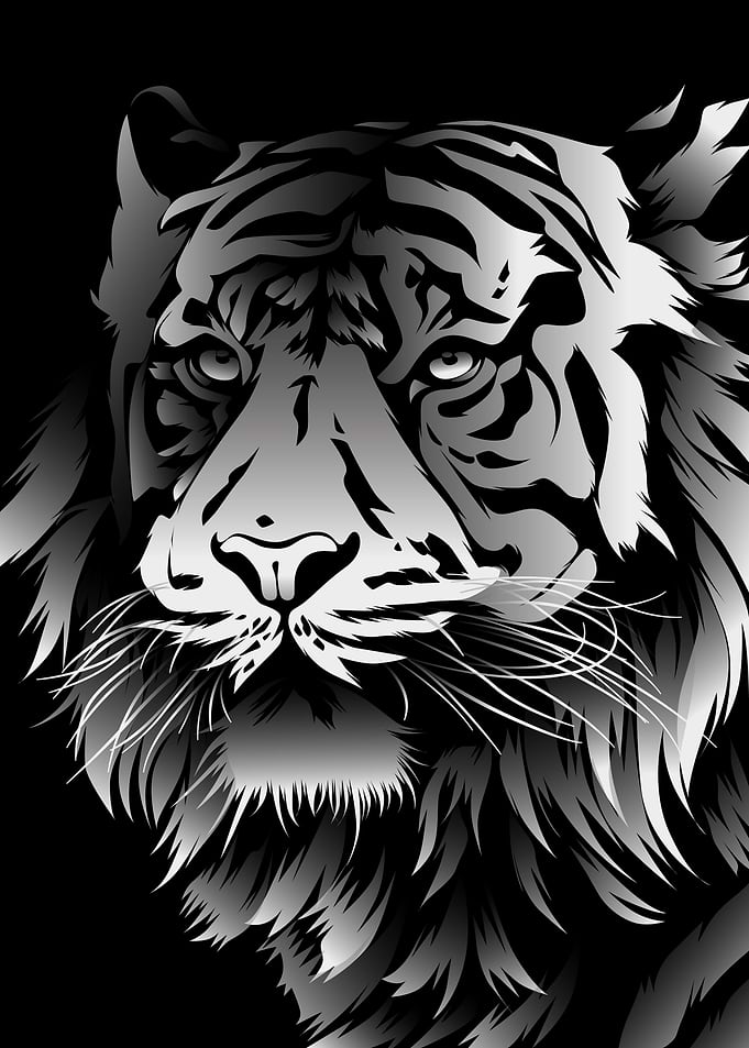 Minimalist Wild Tiger