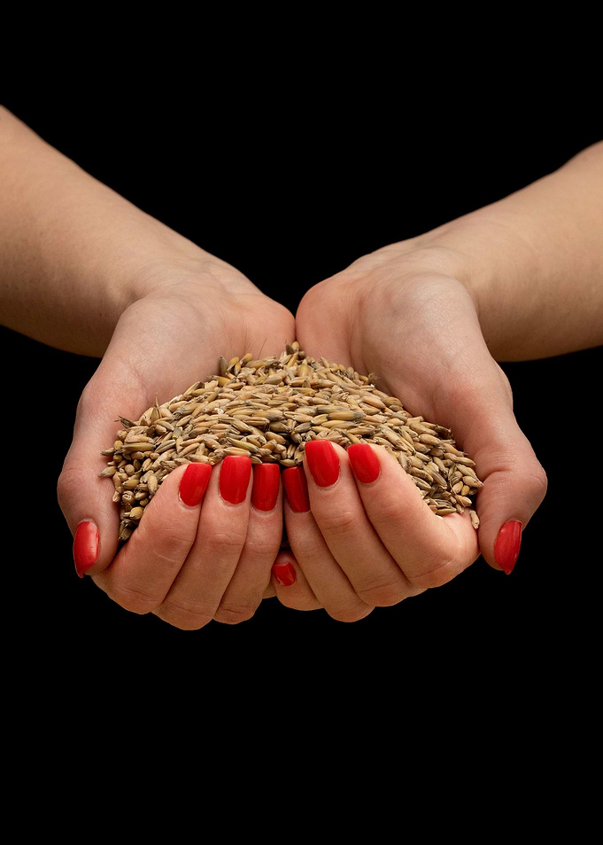 Grain