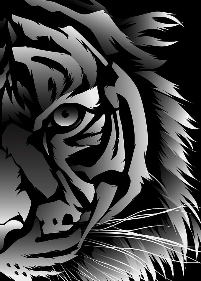 Minimalist Wild Tiger