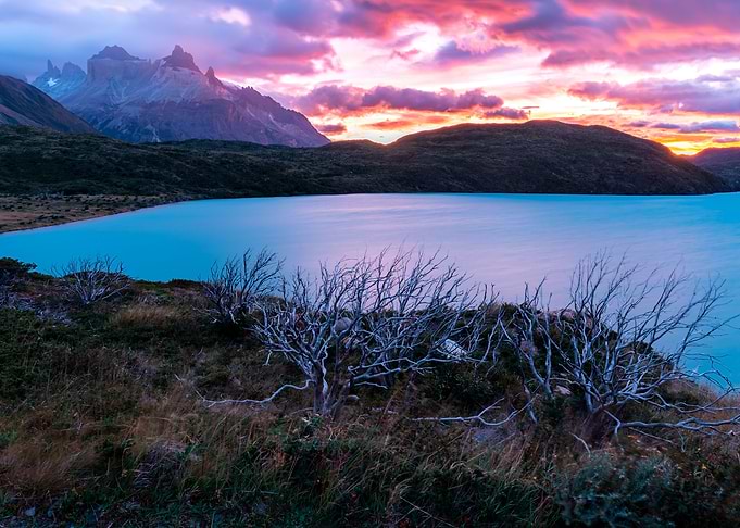 Patagonia