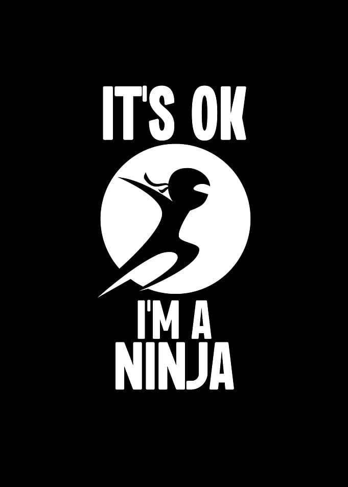 Its Ok Im a Ninja