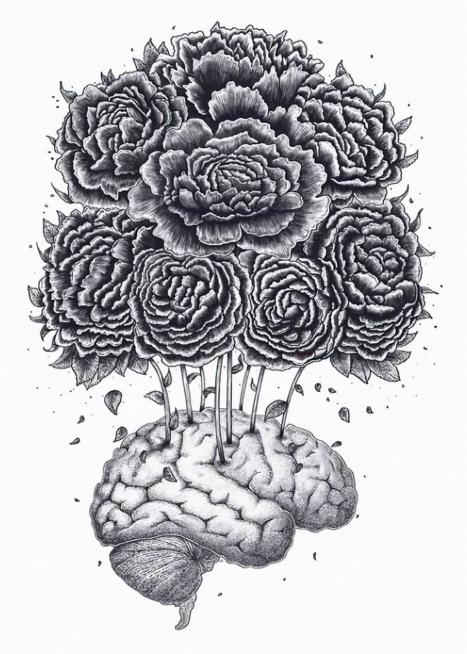 Peonies