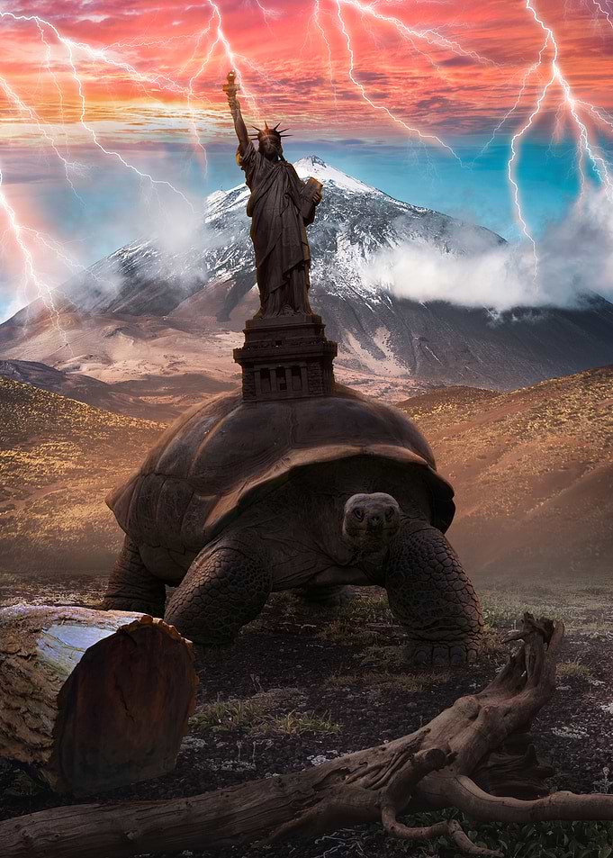 The Turttle