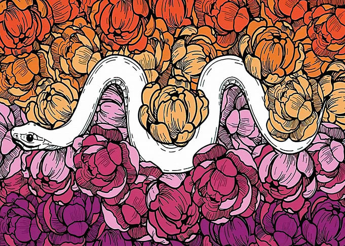 Peonies
