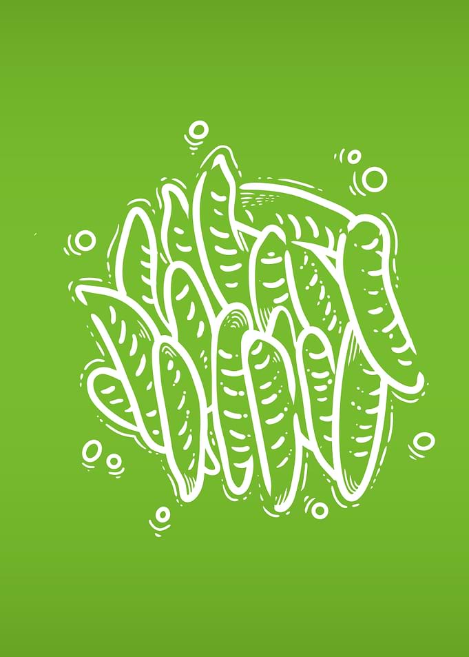 Pea Beans 1