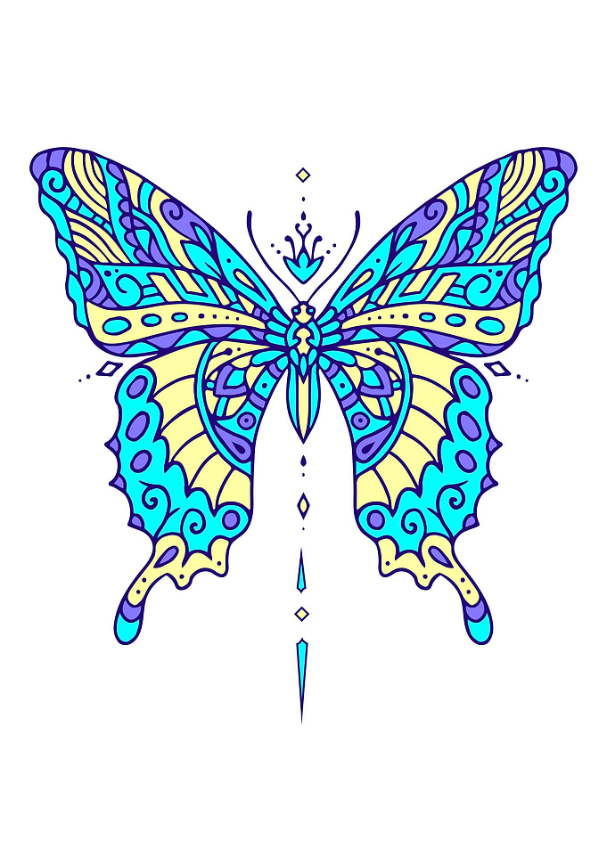 Butterfly