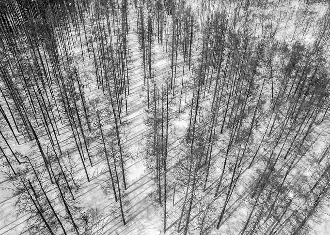 Lines and Dimes