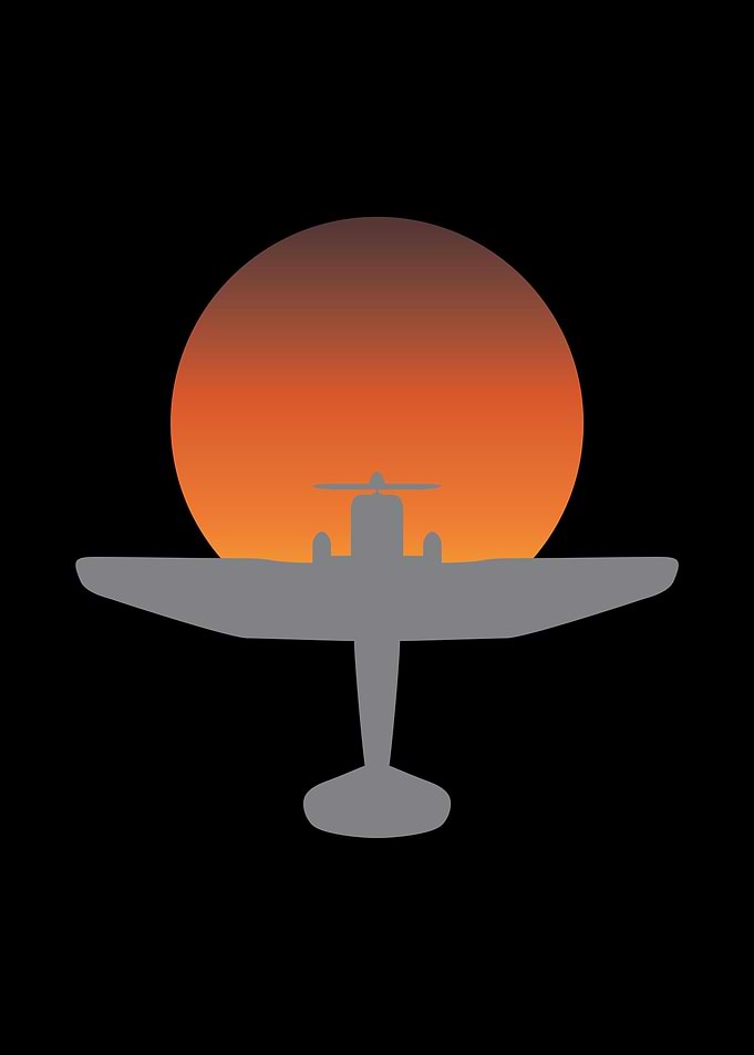 Flying Plane