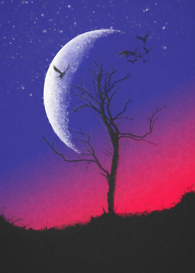 Abstract Raven Night