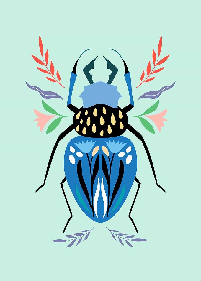 Insect