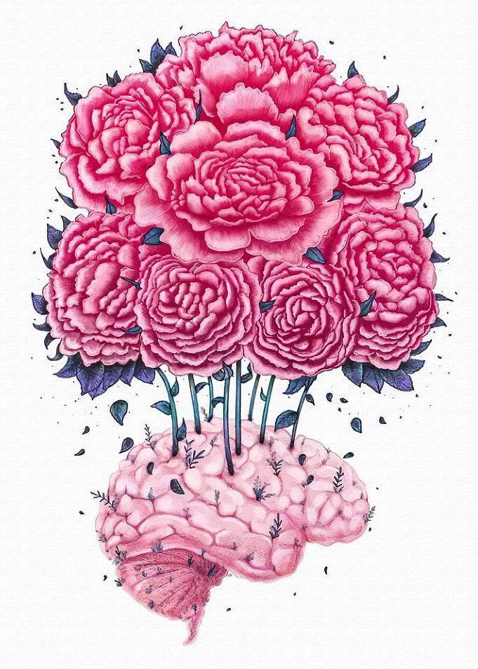 Peonies