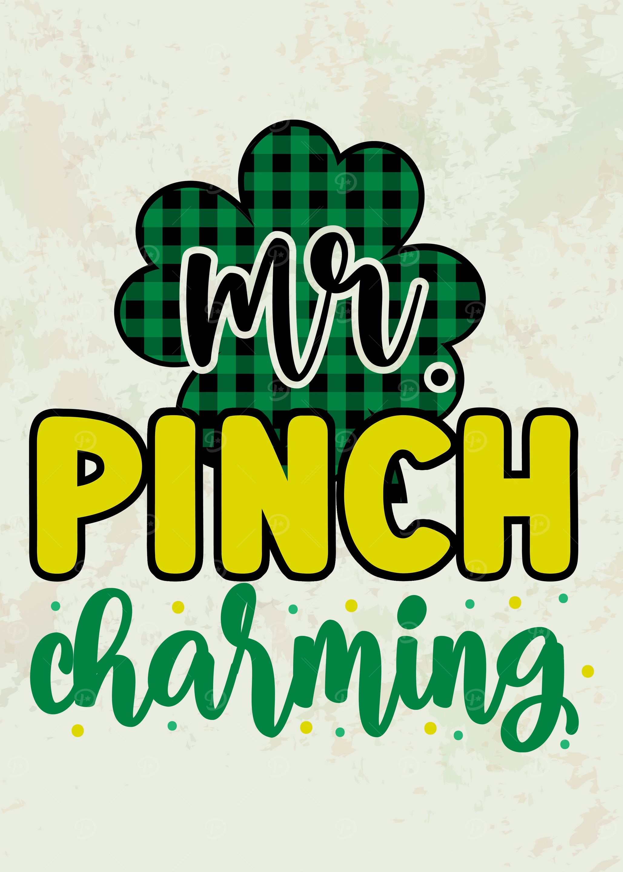 Mr Pinch Charming