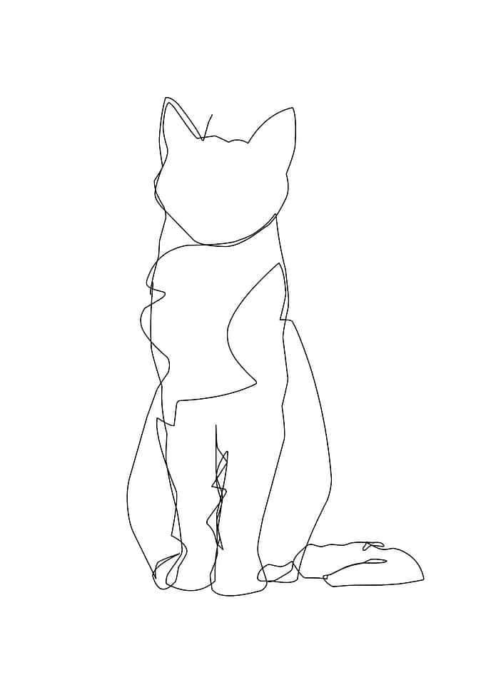 cat