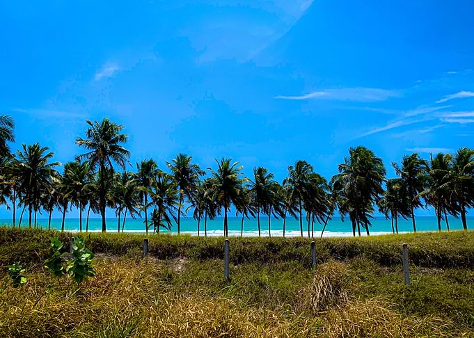 Beach View