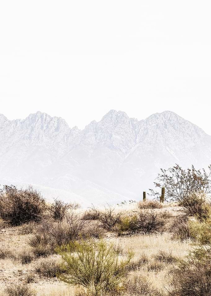 Desert