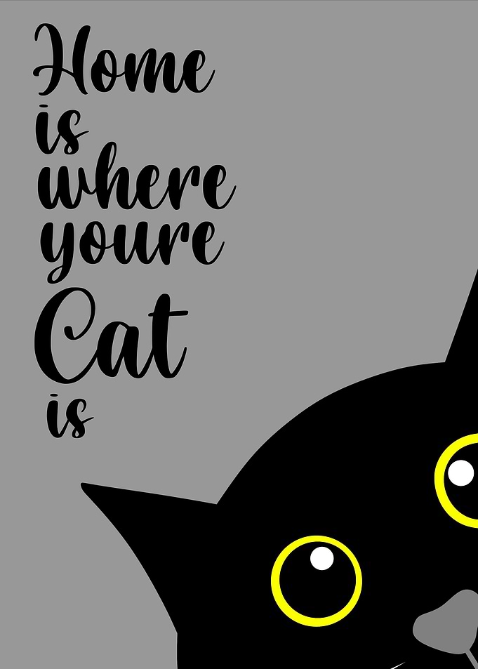 cat quotes
