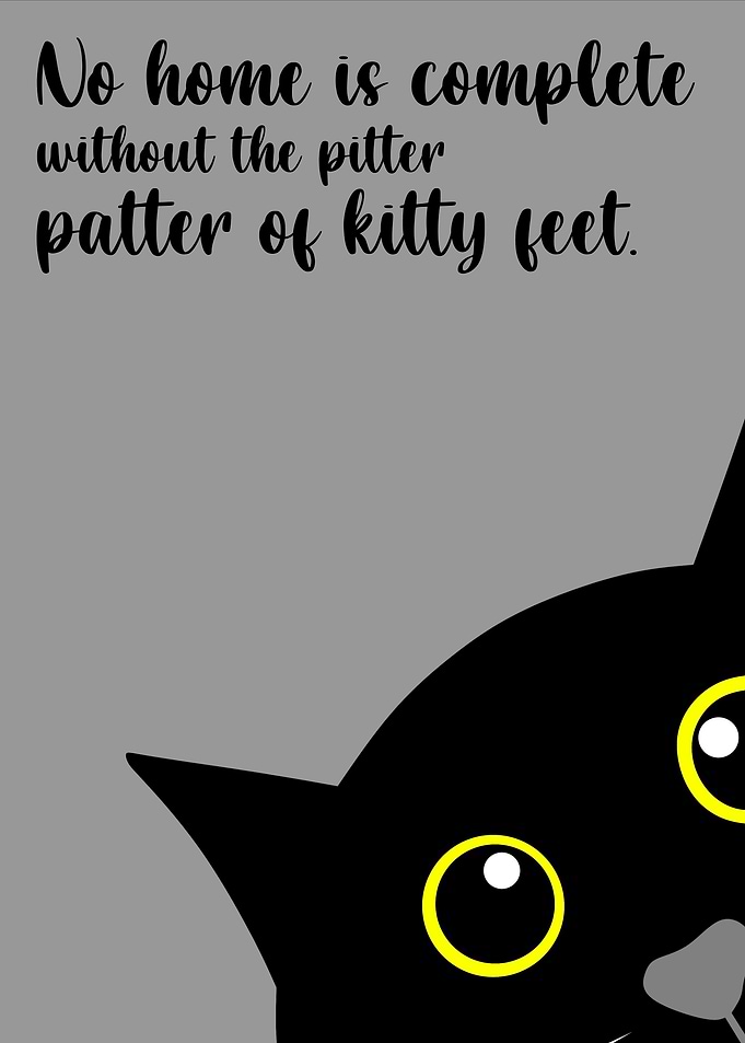 cat quotes