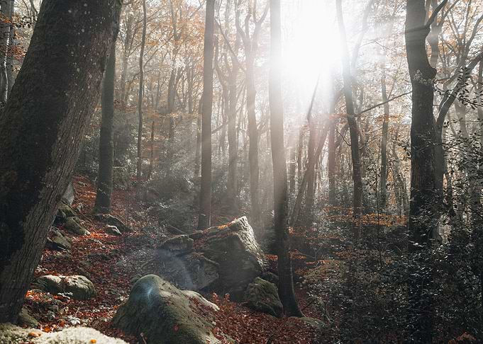 Nature is beautiful