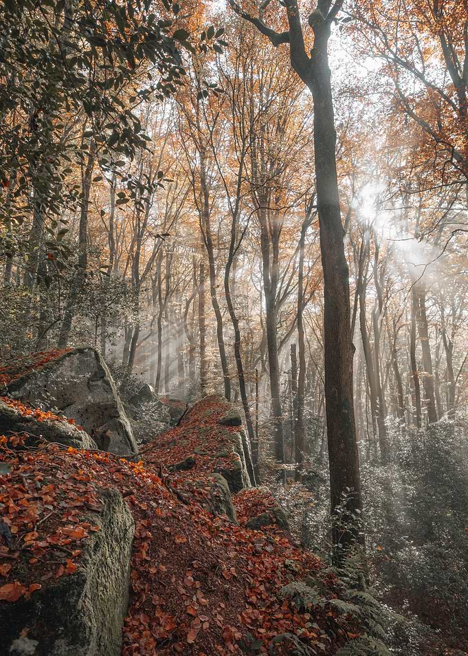 Beautiful Nature