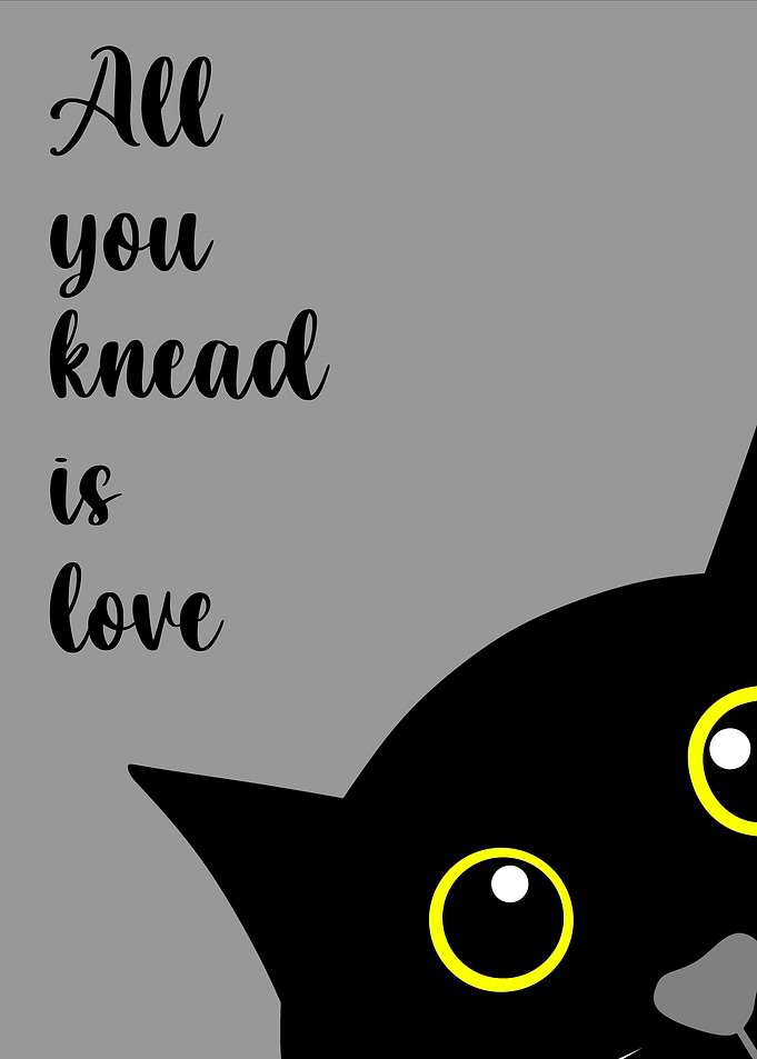 cat quotes