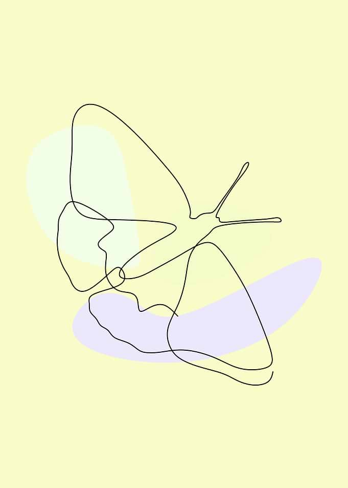 butterfly in sketh