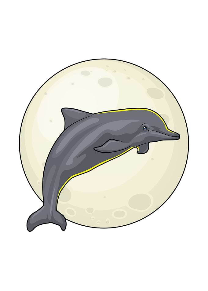 Dolphin Moon