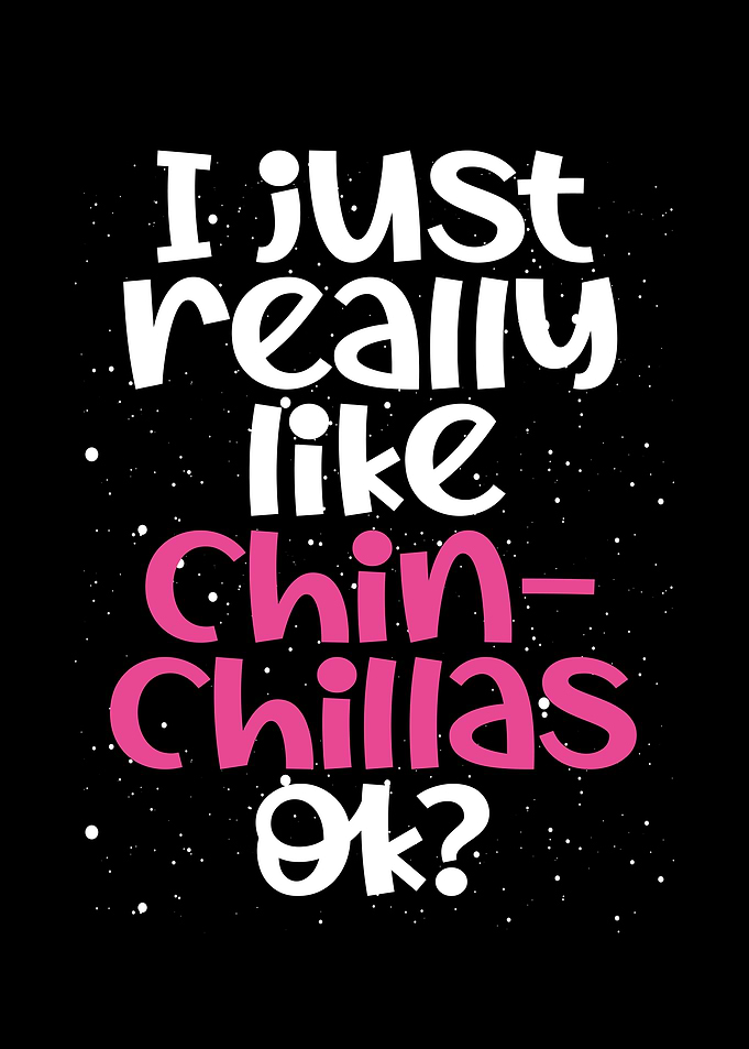 I really like chinchillas
