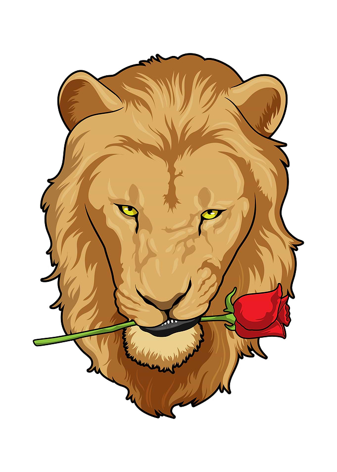Lion Flower Rose