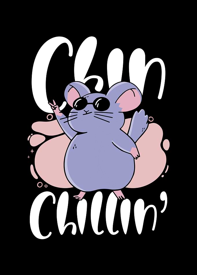 Chill Chinchilla