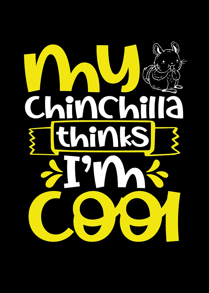 My chinchilla thinks Iam