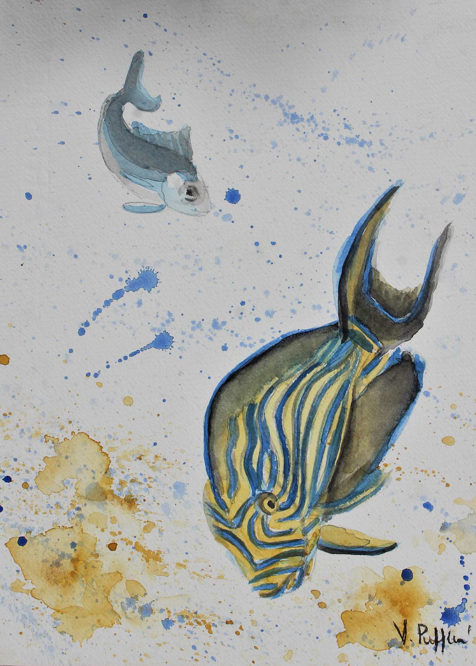 Sea fish