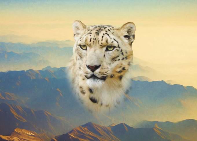 Snow leopard